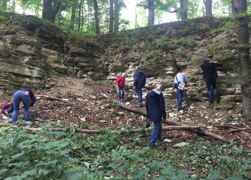 Ehemalige Steinbrüche im Bimbergtal