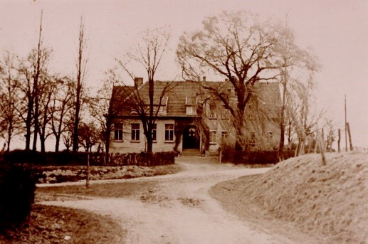 Schule und Wiesen