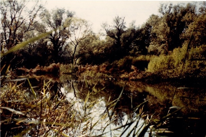 Schachtkuhle 1986