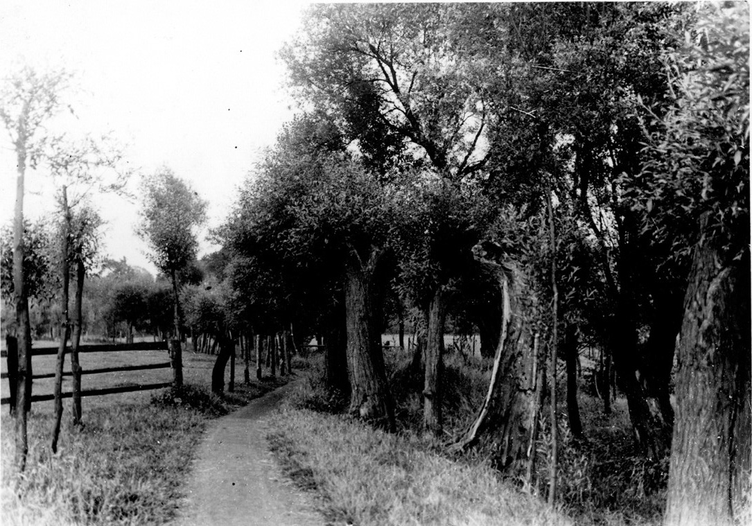 Mühlpfad 1937